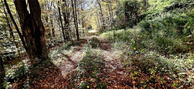 781 Charcoal Road, Roxbury, NY 12167