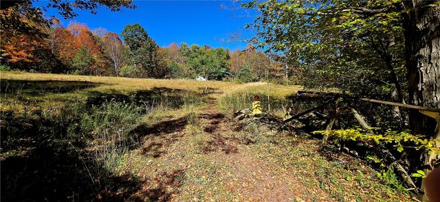 781 Charcoal Road, Roxbury, NY 12167