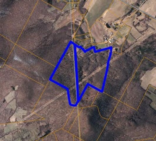 781 Charcoal Road, Roxbury, NY 12167