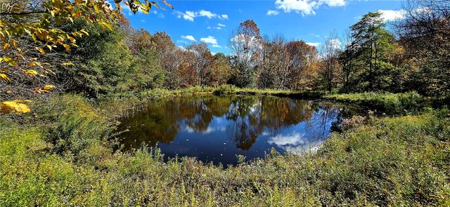 781 Charcoal Road, Roxbury, NY 12167