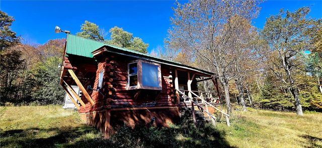 781 Charcoal Road, Roxbury, NY 12167