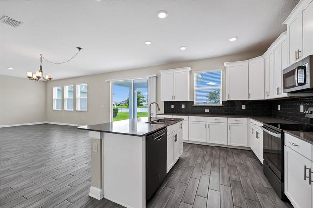 11349 SATIRE STREET, Orlando, FL 32832