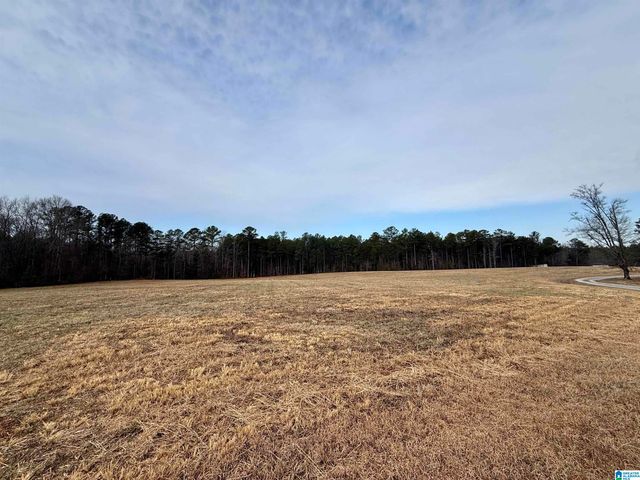 Lot 2 CEDAR SPRINGS DRIVE, Jacksonville, AL 36265