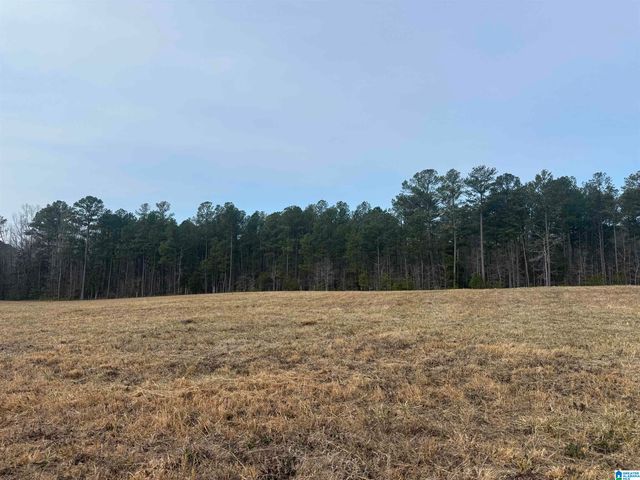 Lot 2 CEDAR SPRINGS DRIVE, Jacksonville, AL 36265