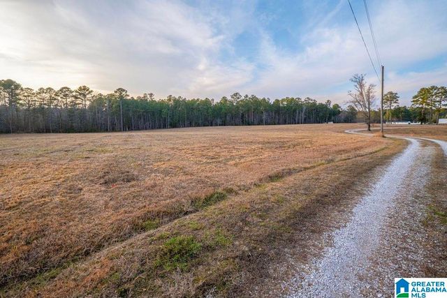 Lot 2 CEDAR SPRINGS DRIVE, Jacksonville, AL 36265