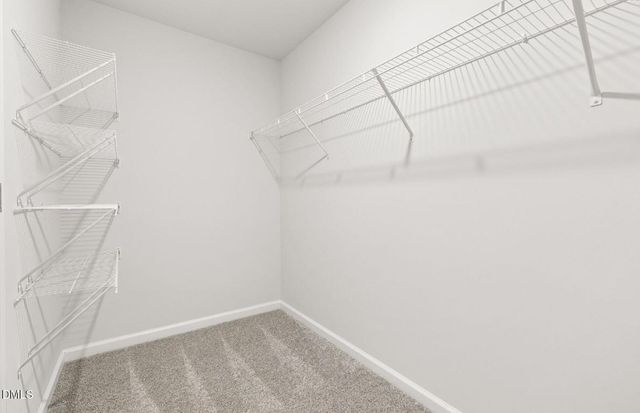 637 Fosterton Cottage Way, Raleigh, NC 27603