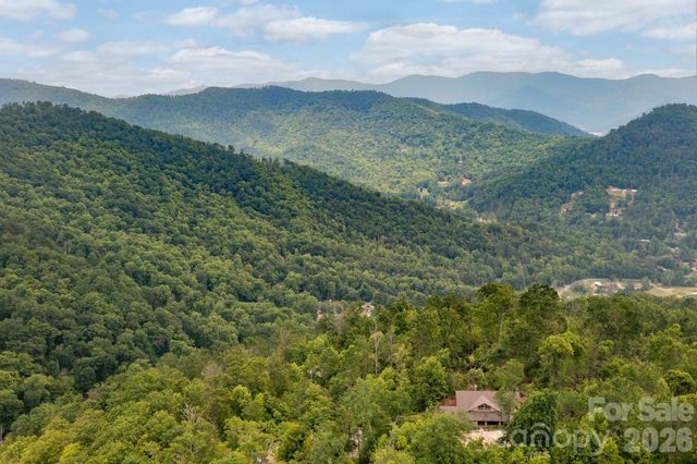 588 Long Branch Road, Swannanoa, NC 28778