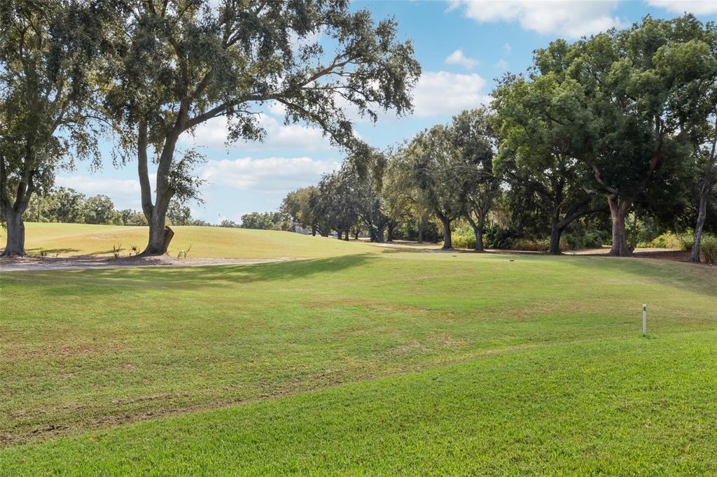 Image 25 of property listing at 4234 GOLF CLUB LANE, Tampa, FL 33618