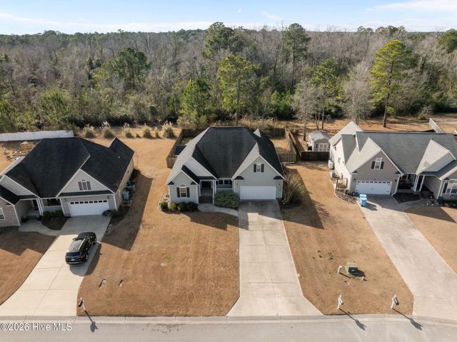 229 Wedgefield Circle, Maple Hill, NC 28454