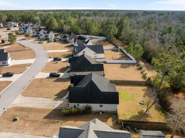 229 Wedgefield Circle, Maple Hill, NC 28454