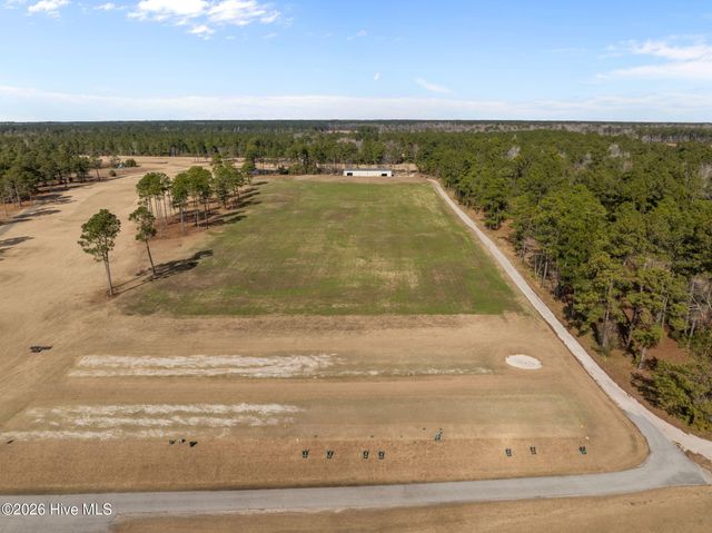 229 Wedgefield Circle, Maple Hill, NC 28454