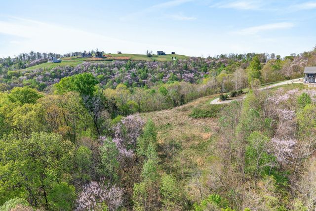 0 Goose Road, Hilham, TN 38568