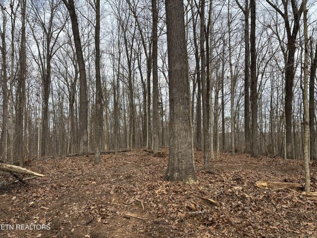 361 County Road 38, Riceville, TN 37370