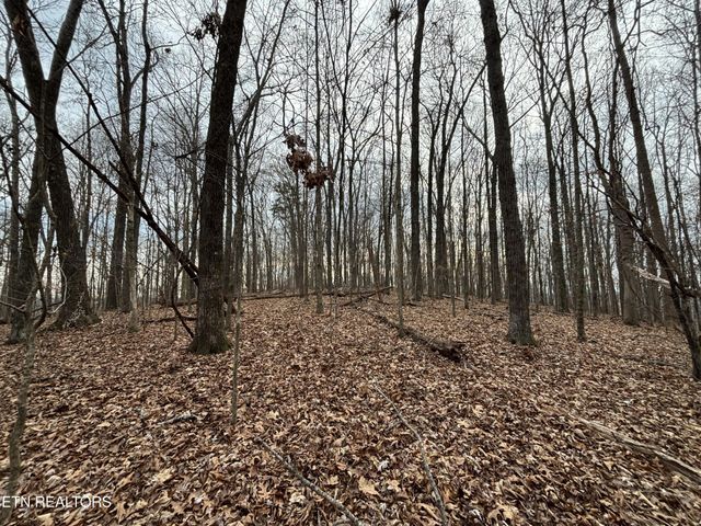 361 County Road 38, Riceville, TN 37370