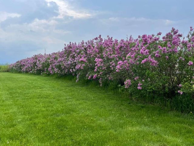 16063 County Highway 8, Tracy, MN 56175