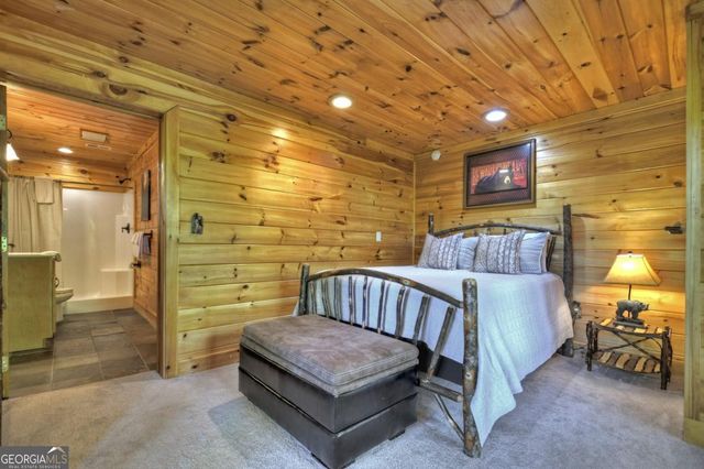 536 Lakeview Road 25, Blue Ridge, GA 30513