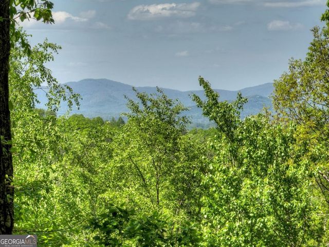 536 Lakeview Road 25, Blue Ridge, GA 30513