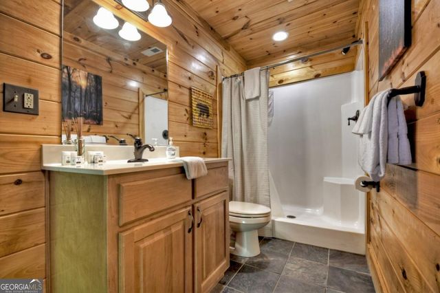 536 Lakeview Road 25, Blue Ridge, GA 30513