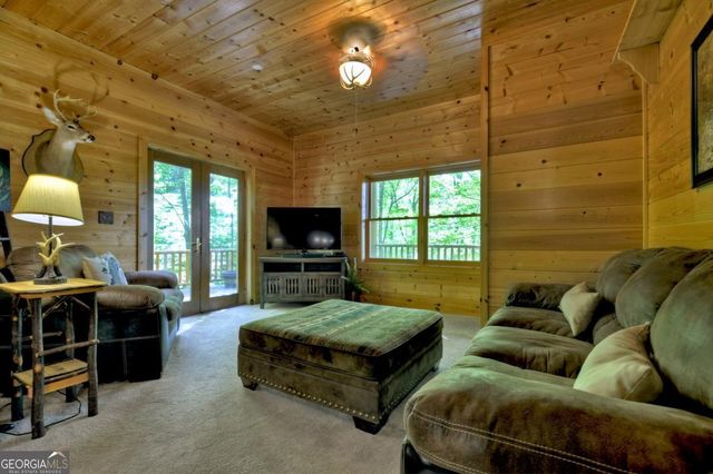 536 Lakeview Road 25, Blue Ridge, GA 30513