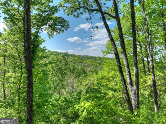 536 Lakeview Road 25, Blue Ridge, GA 30513