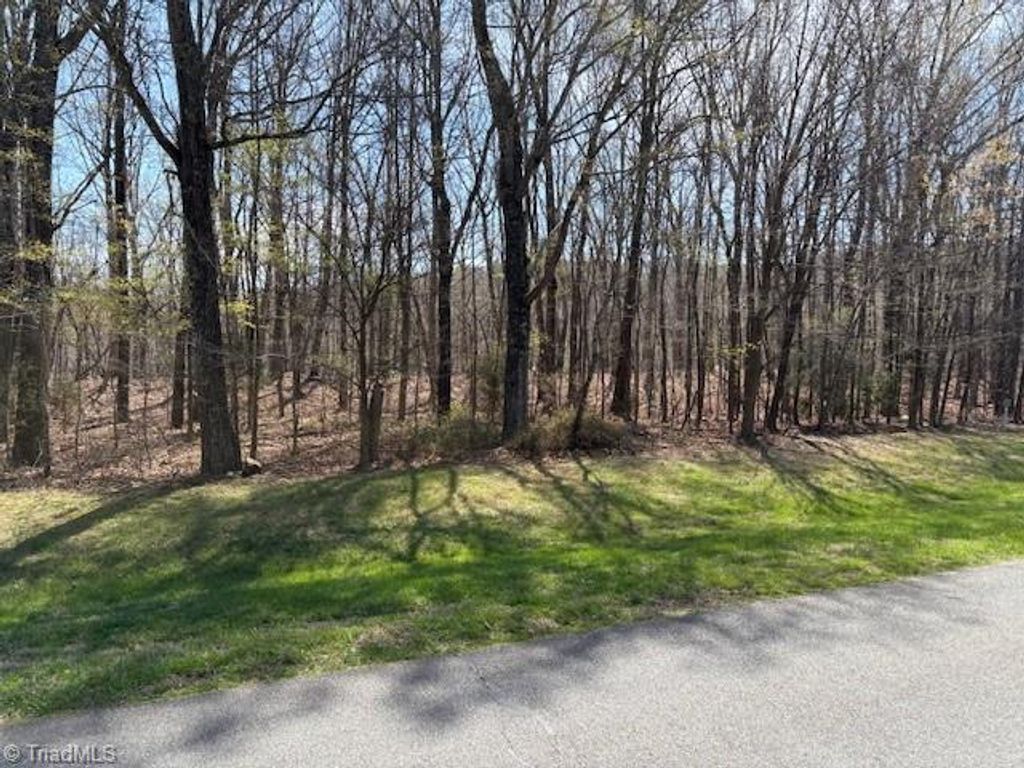 367 Healing Springs Drive, Denton, NC 27239