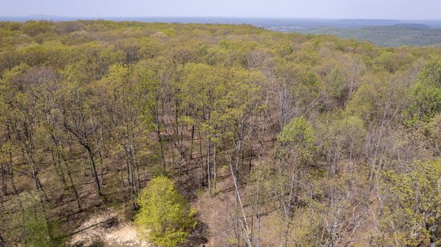 7 Long Mountain, Mcminnville, TN 37110