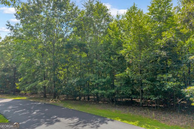 25 Forked Leaf Road, Cleveland, GA 30528