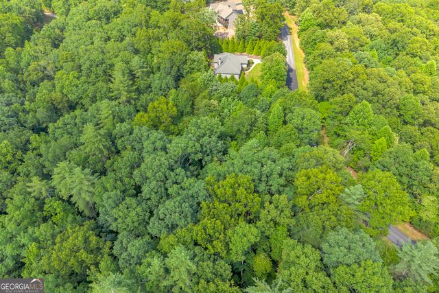 25 Forked Leaf Road, Cleveland, GA 30528