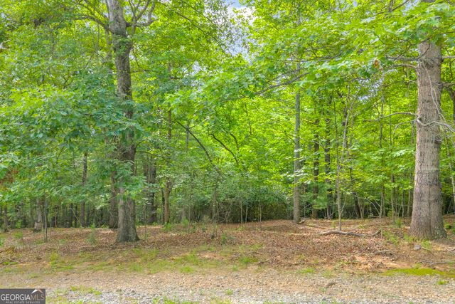 25 Forked Leaf Road, Cleveland, GA 30528