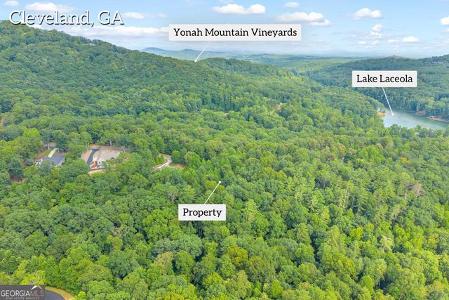 25 Forked Leaf Road, Cleveland, GA 30528