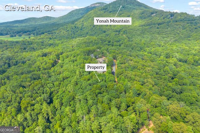 25 Forked Leaf Road, Cleveland, GA 30528