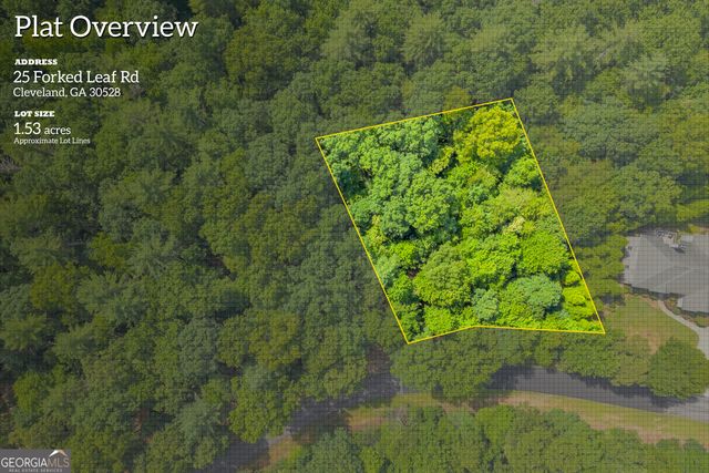 25 Forked Leaf Road, Cleveland, GA 30528