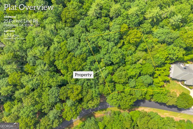 25 Forked Leaf Road, Cleveland, GA 30528