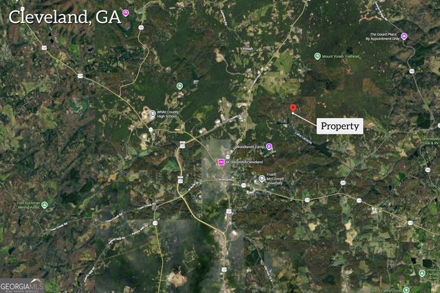 25 Forked Leaf Road, Cleveland, GA 30528