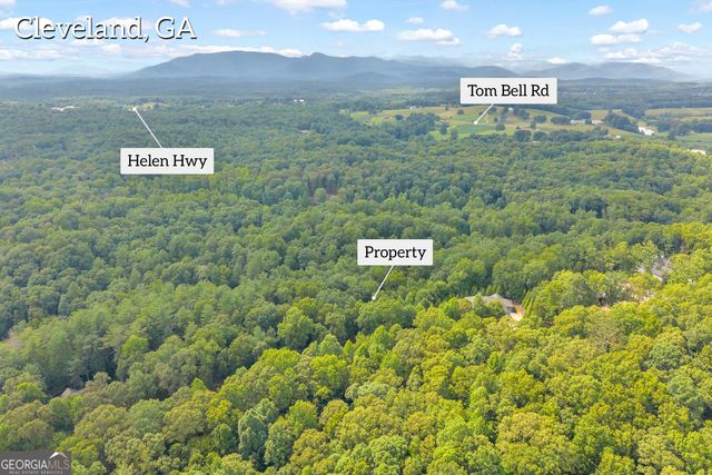 25 Forked Leaf Road, Cleveland, GA 30528