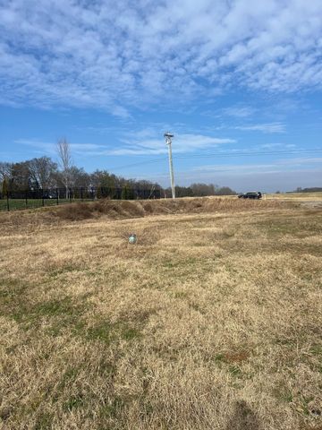 5415 Constantine Dr, Rockvale, TN 37153