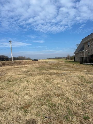 5415 Constantine Dr, Rockvale, TN 37153