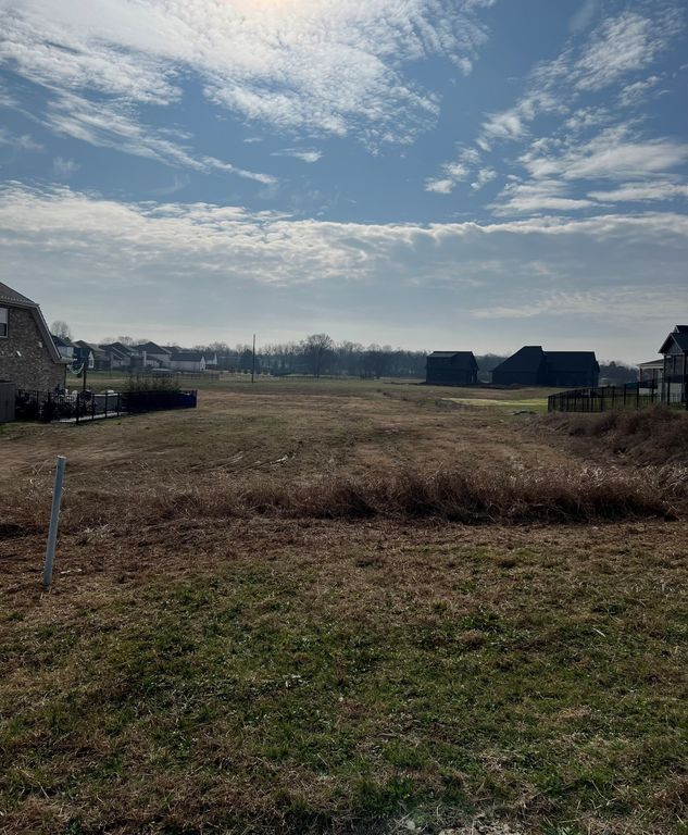 5415 Constantine Dr, Rockvale, TN 37153