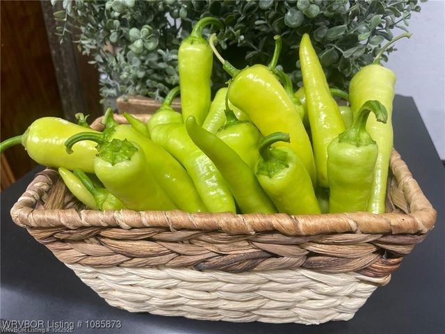 7170 Highway 217, Charleston, AR 72933