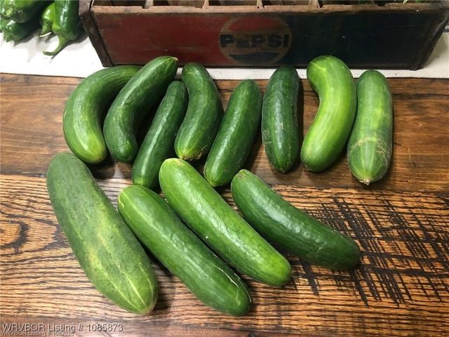 7170 Highway 217, Charleston, AR 72933