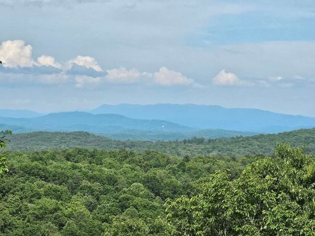 130 Hudson Springs Lane, Murphy, NC 28906