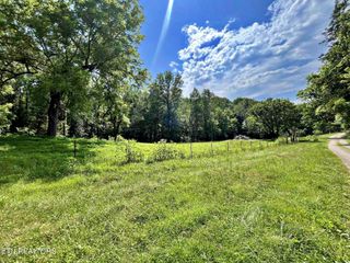 Lot 7 Raby Hollow Road, Kingston, TN 37763