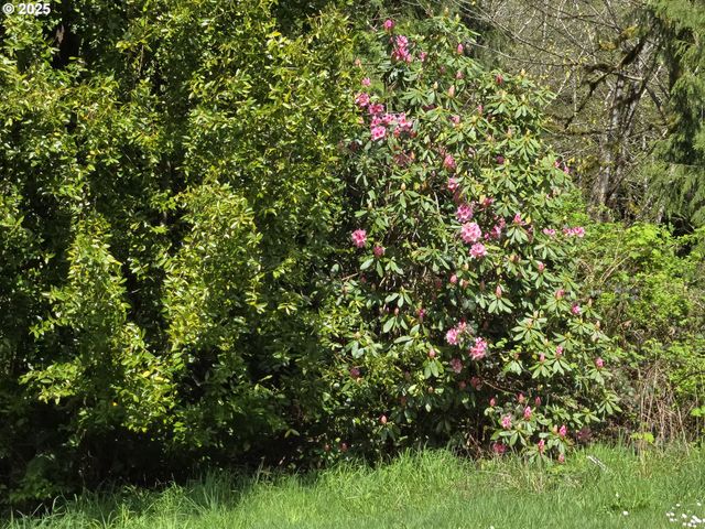 57235 HARLOCKER HILL Rd, Coquille, OR 97423