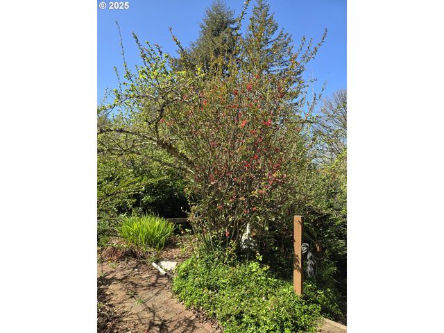 57235 HARLOCKER HILL Rd, Coquille, OR 97423