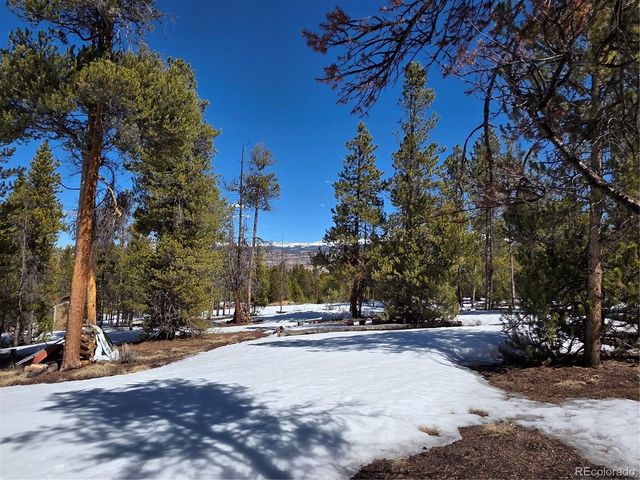 Lots 20 & 29, Twin Lakes, CO 81251
