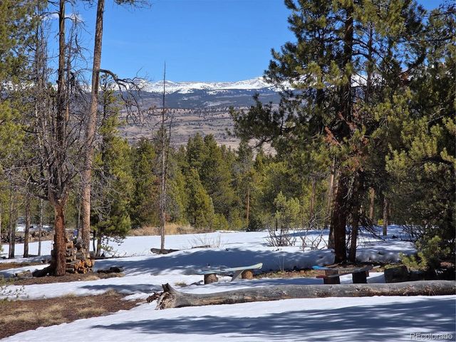 Lots 20 & 29, Twin Lakes, CO 81251