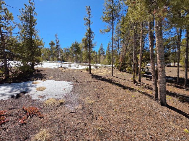 Lots 20 & 29, Twin Lakes, CO 81251