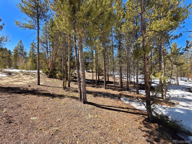 Lots 20 & 29, Twin Lakes, CO 81251
