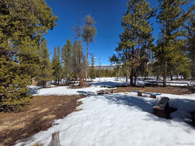Lots 20 & 29, Twin Lakes, CO 81251