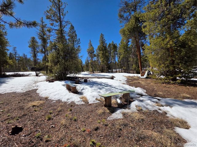 Lots 20 & 29, Twin Lakes, CO 81251